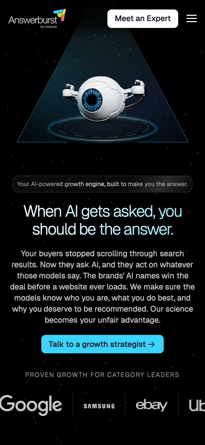 Answerburst — mobile view