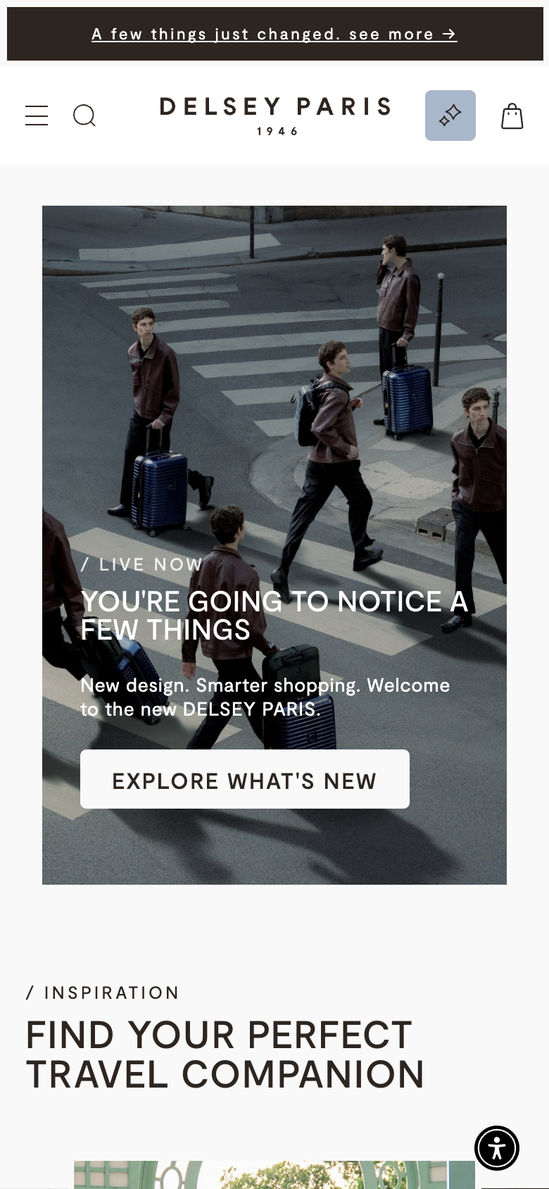 Delsey Paris — mobile view